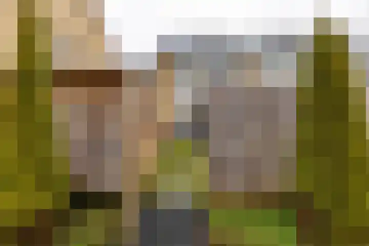 Bernhardlaan 60 Groningen thumbnail 35