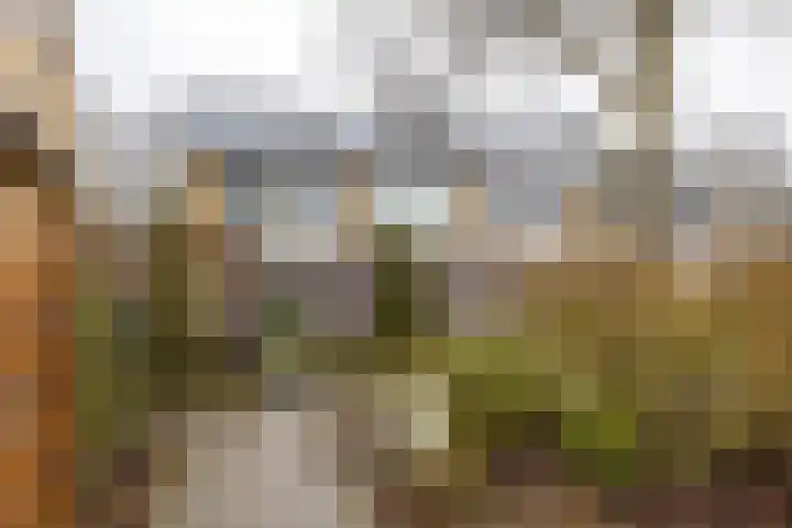 Bernhardlaan 60 Groningen thumbnail 36