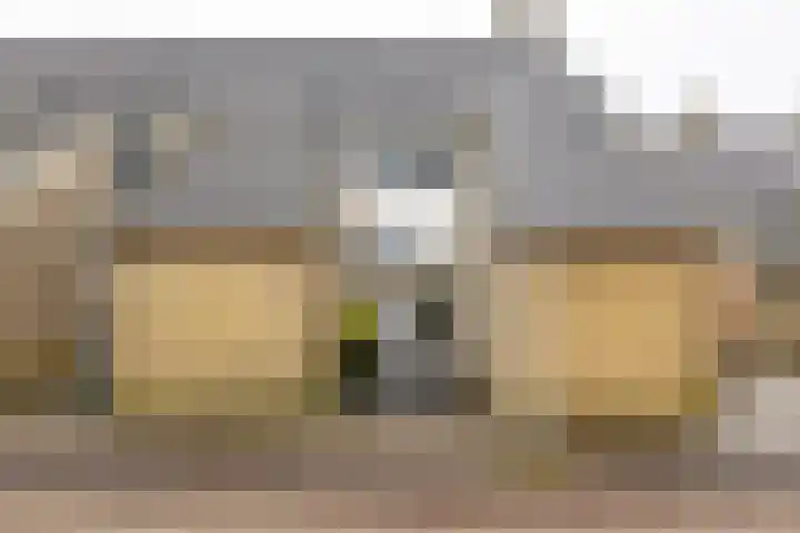 Bernhardlaan 60 Groningen thumbnail 37