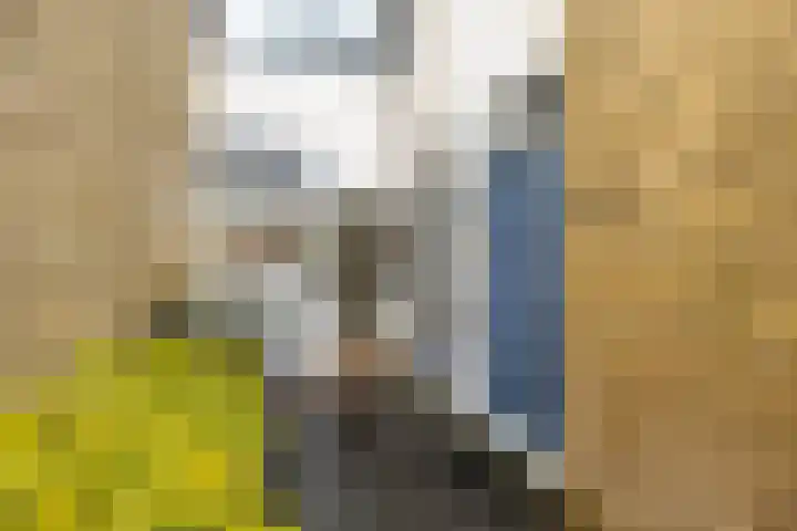 Bernhardlaan 60 Groningen thumbnail 5