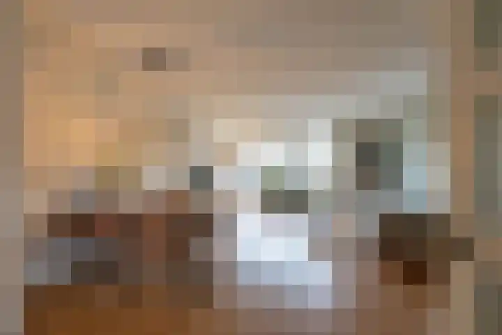 Bernhardlaan 60 Groningen thumbnail 9