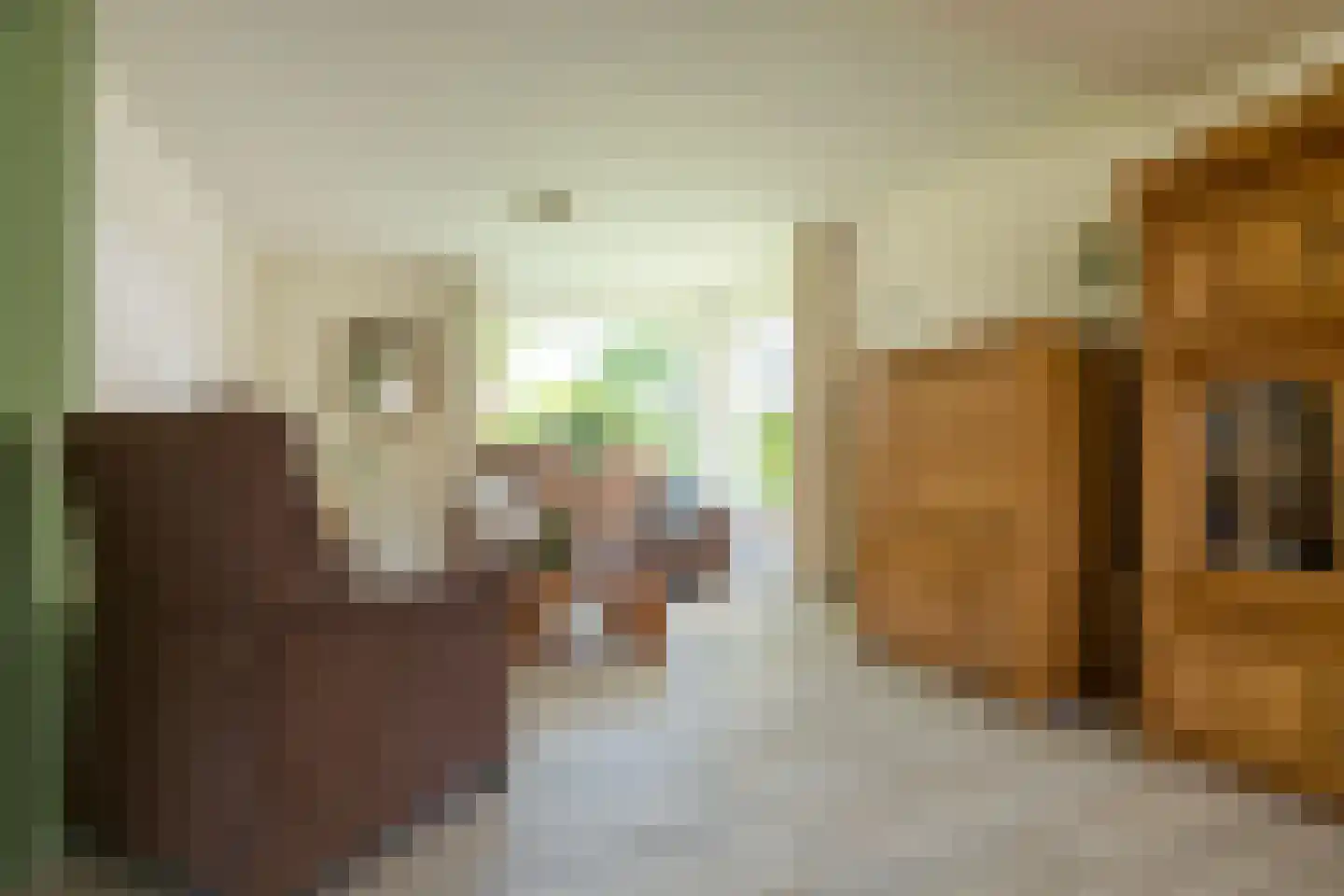 Bernhardlaan 64 Buitenpost thumbnail 10