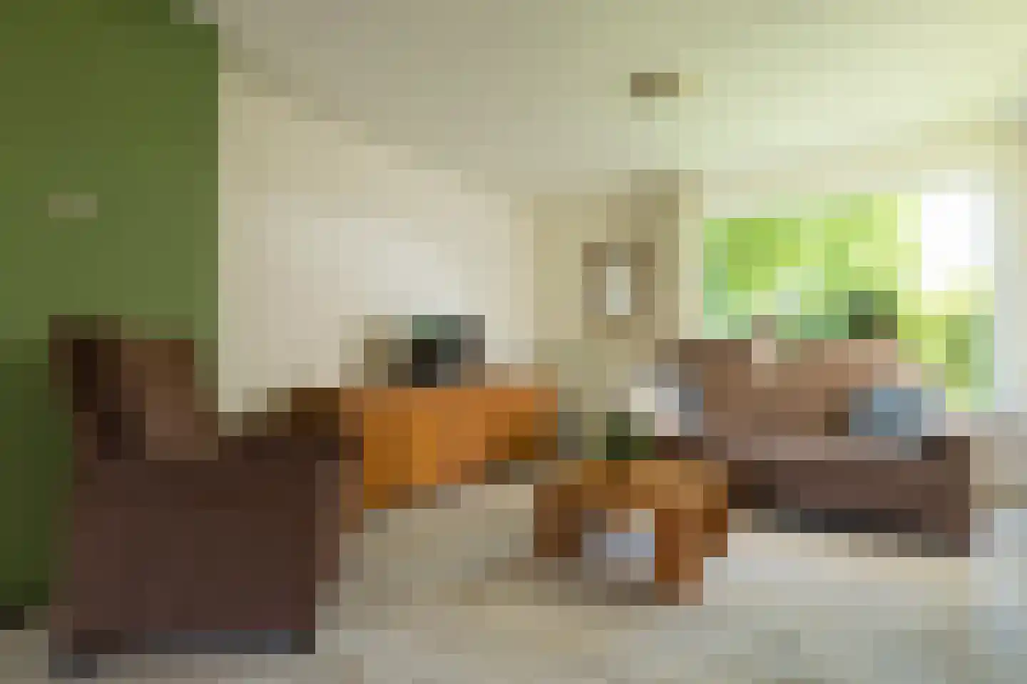 Bernhardlaan 64 Buitenpost thumbnail 11