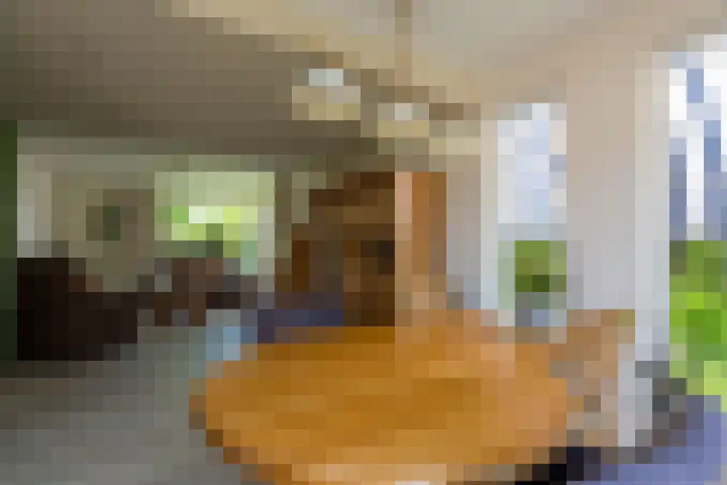 Bernhardlaan 64 Buitenpost thumbnail 18