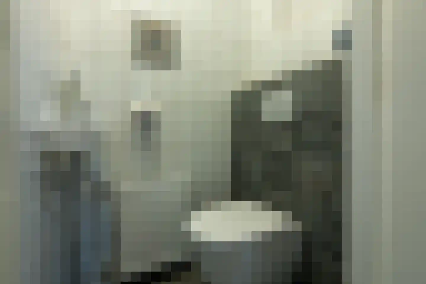 Bernhardlaan 64 Buitenpost thumbnail 25