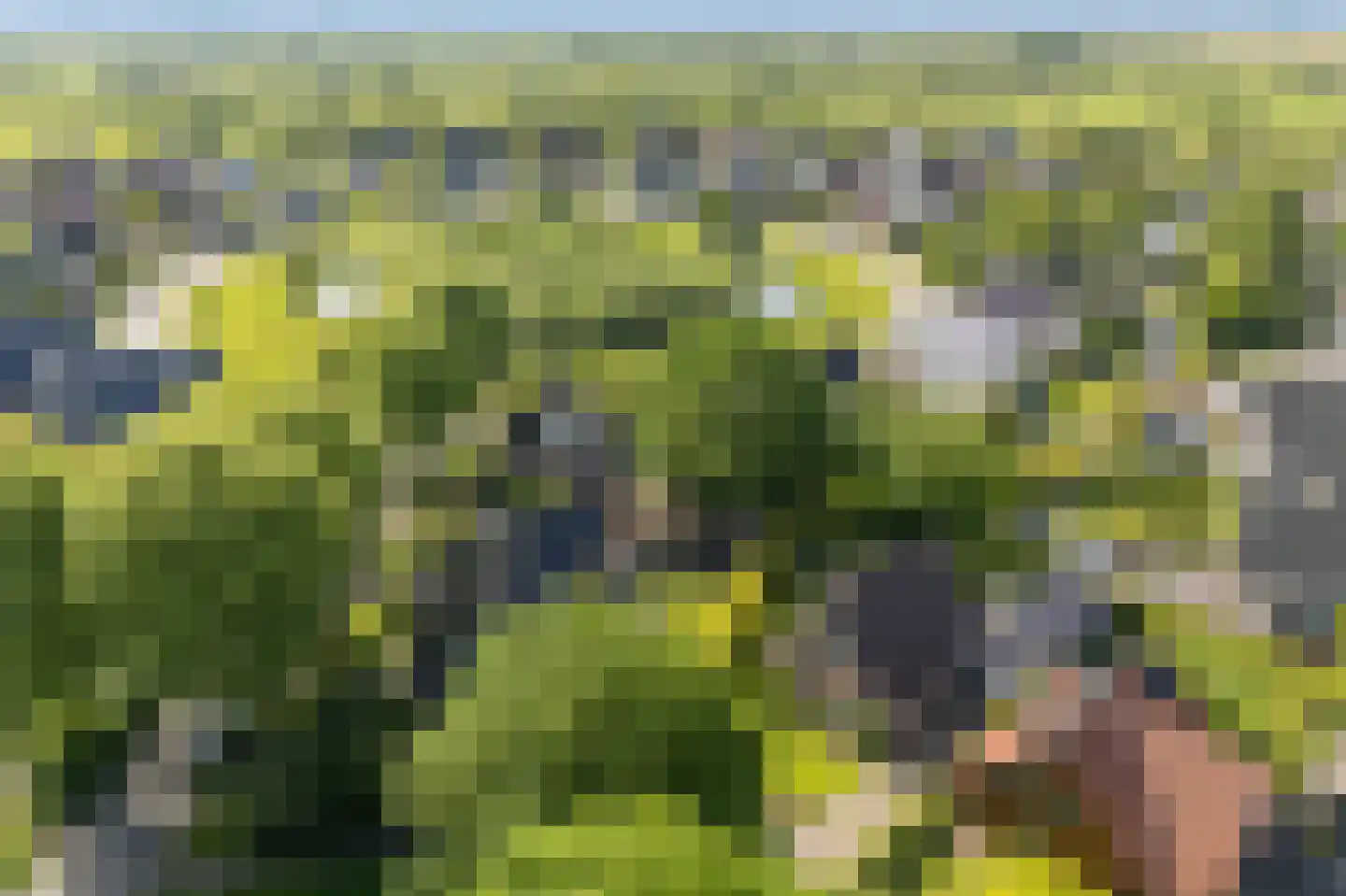Bernhardlaan 64 Buitenpost foto 3