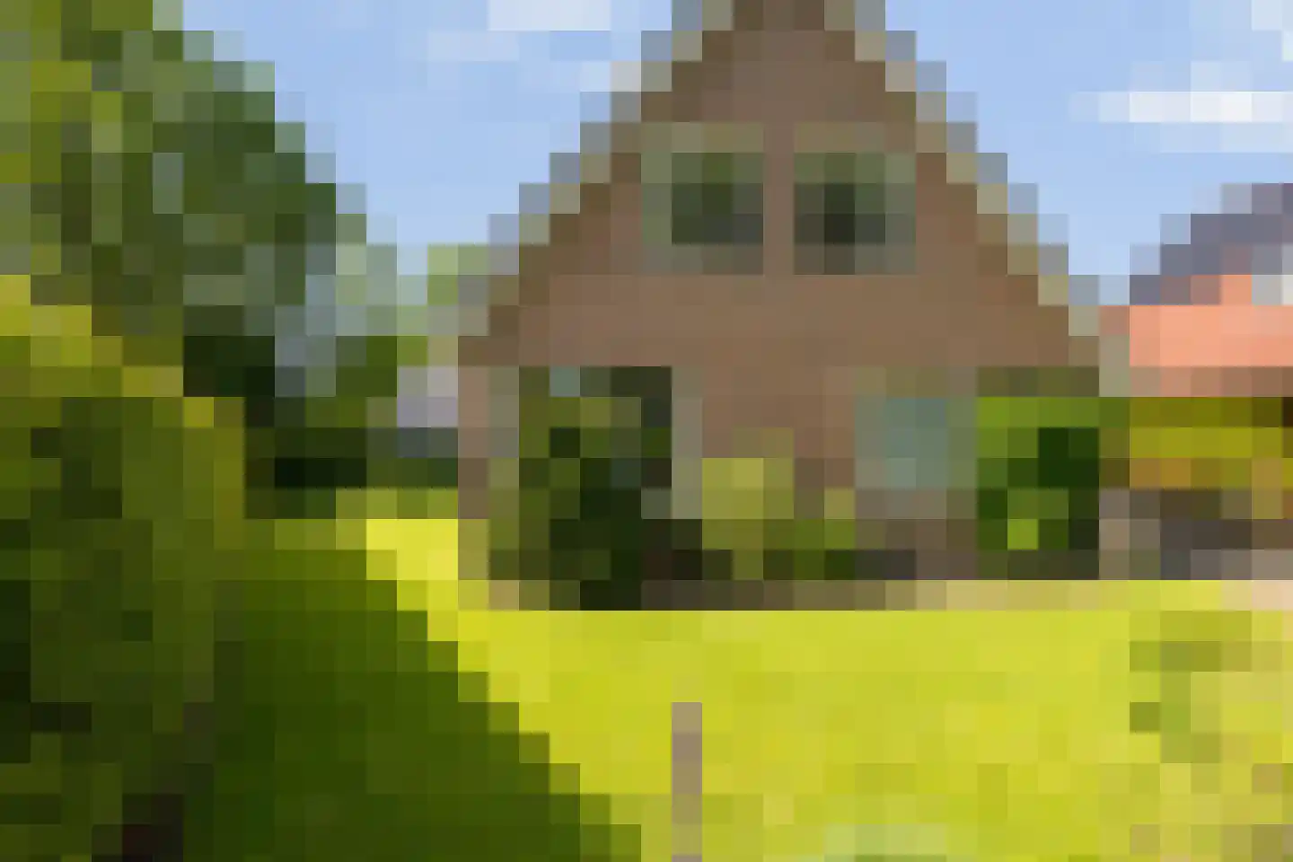 Bernhardlaan 64 Buitenpost thumbnail 45