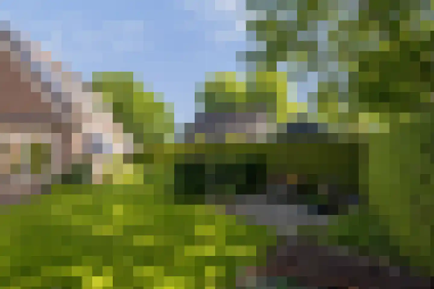 Bernhardlaan 64 Buitenpost thumbnail 47