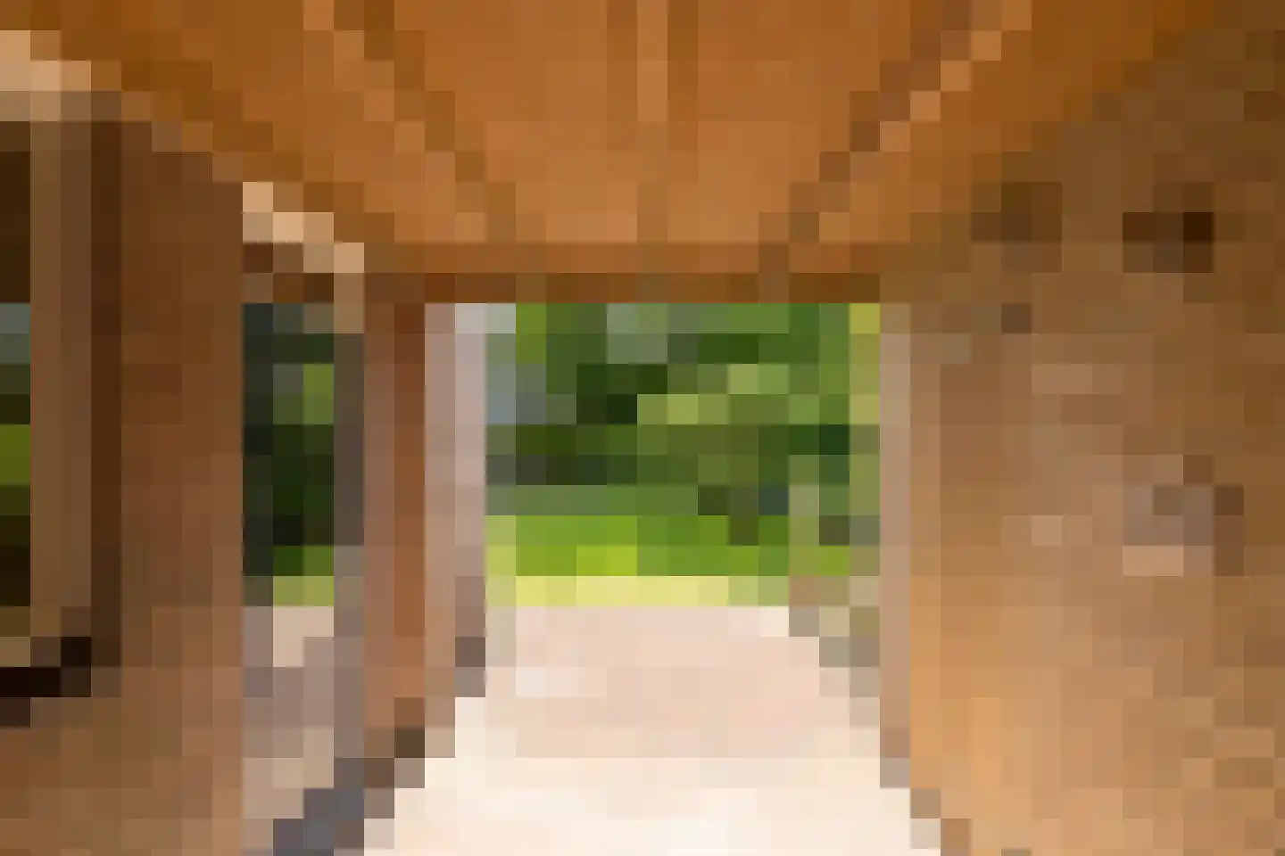 Bernhardlaan 64 Buitenpost thumbnail 49