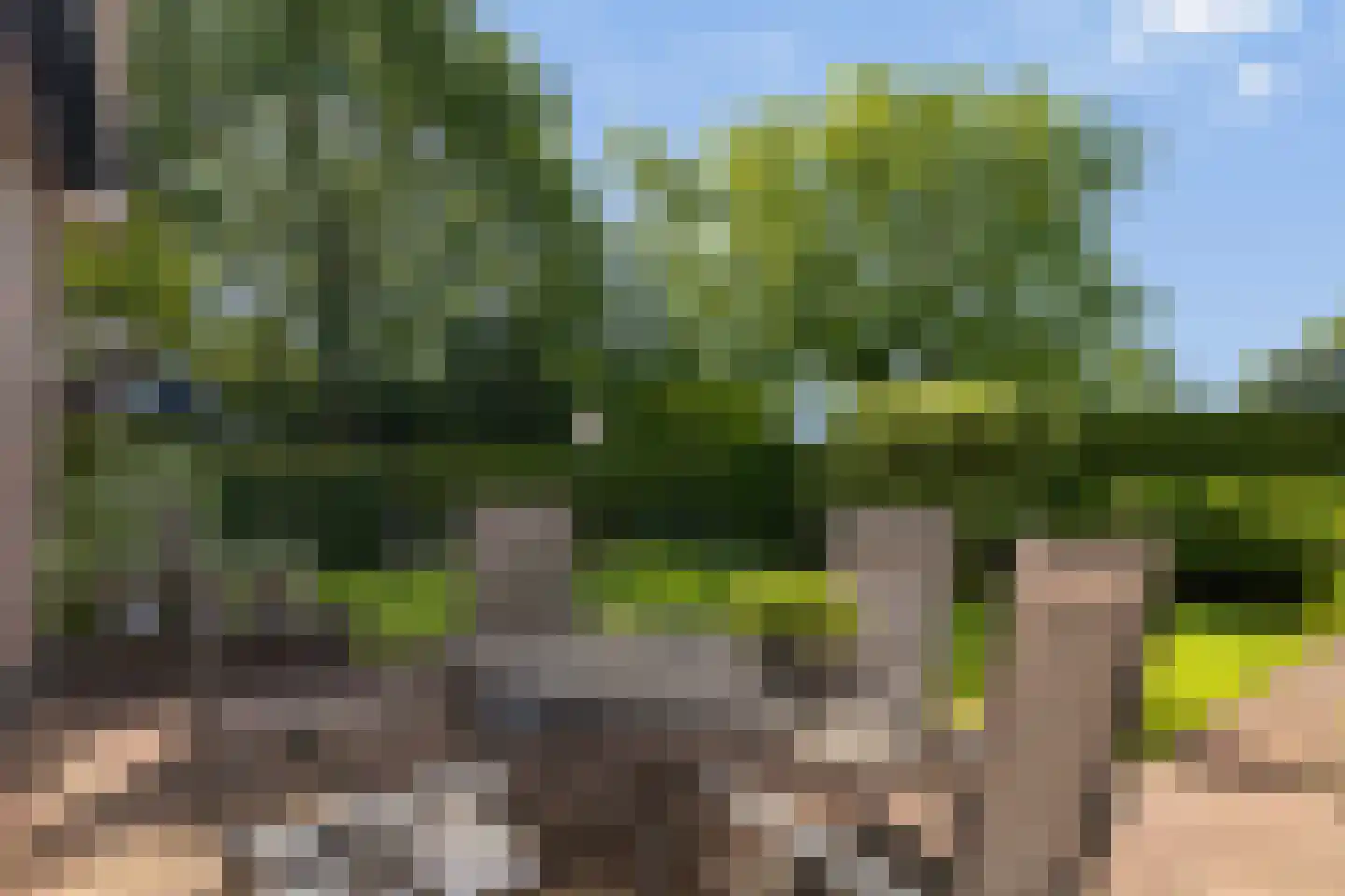 Bernhardlaan 64 Buitenpost thumbnail 51