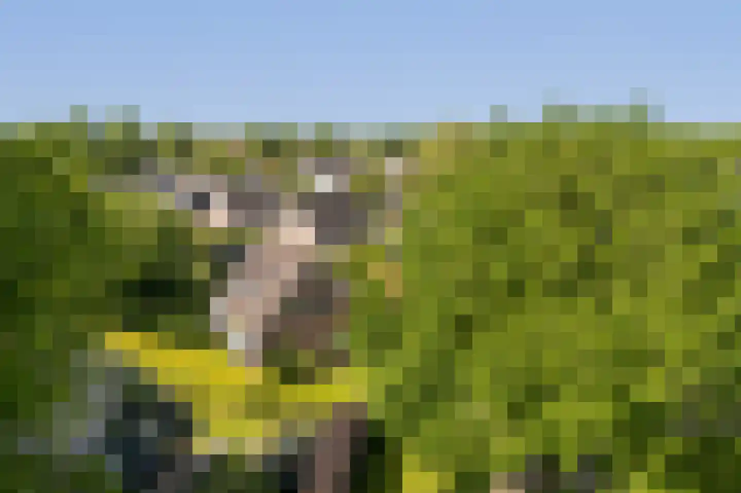 Bernhardlaan 64 Buitenpost thumbnail 53