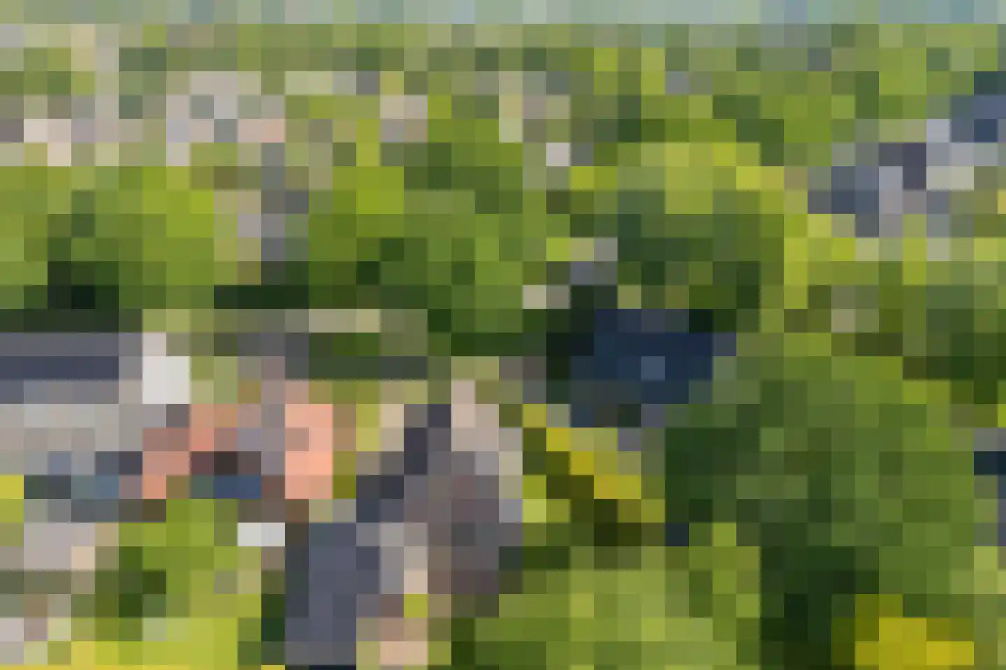 Bernhardlaan 64 Buitenpost thumbnail 55