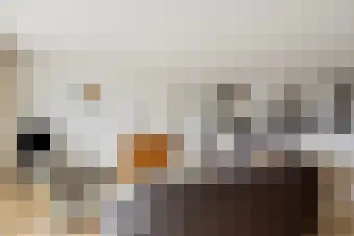 Bernhardlaan 65 Oss thumbnail 10