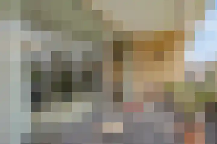 Bernhardlaan 65 Oss thumbnail 17