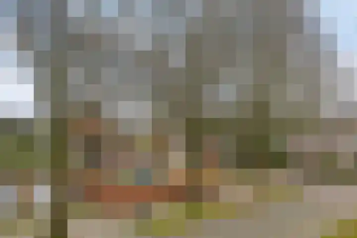 Bernhardlaan 65 Oss thumbnail 18