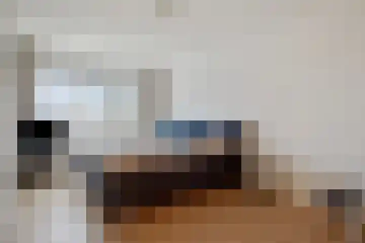 Bernhardlaan 65 Oss thumbnail 19