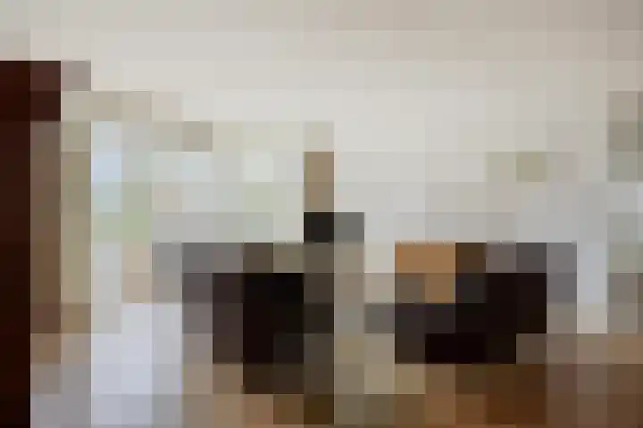 Bernhardlaan 65 Oss thumbnail 9