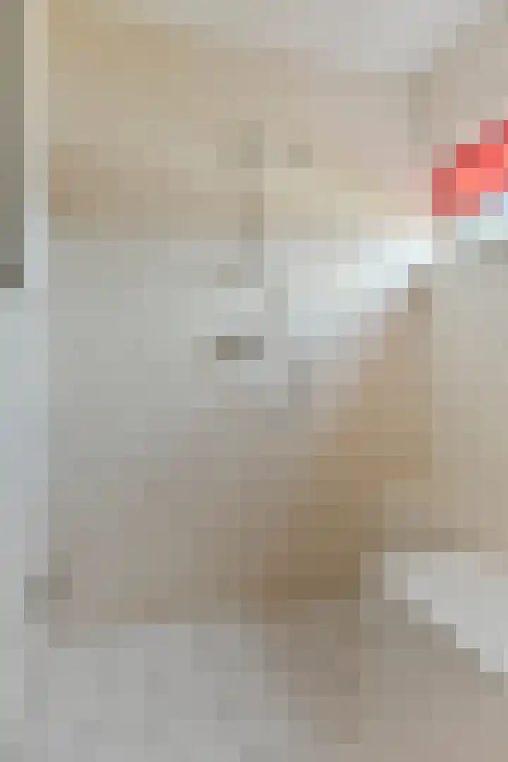 Bernhardlaan 69 Oss thumbnail 29