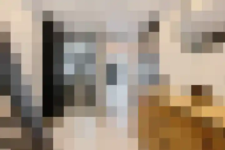 Bernhardlaan 7 Oostwold thumbnail 28