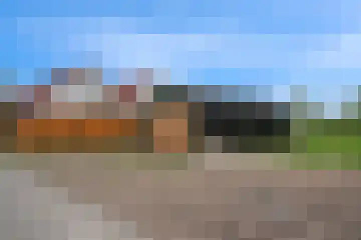 Bernhardlaan 7 Oostwold thumbnail 36