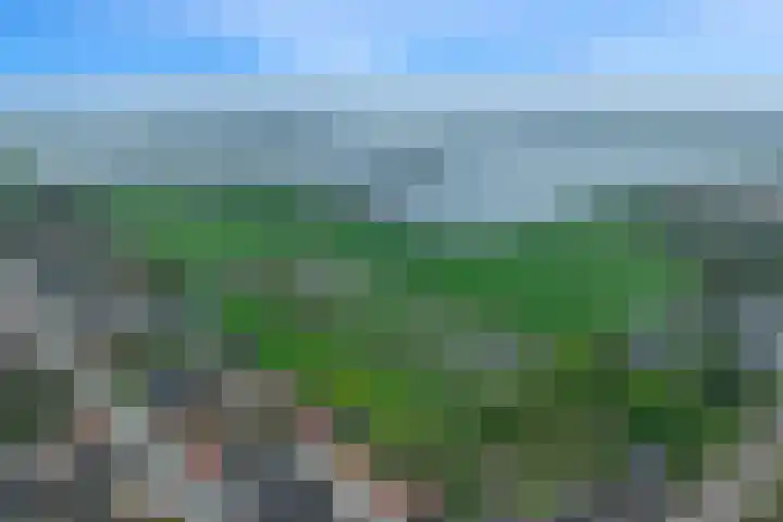 Bernhardlaan 7 Oostwold thumbnail 44