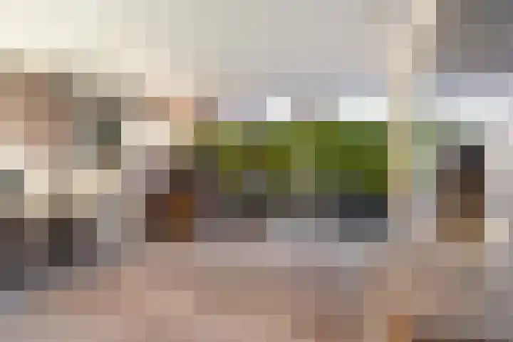 Bernhardlaan 76 Buitenpost thumbnail 16