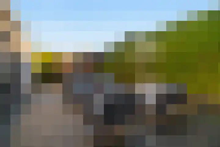Bernhardlaan 76 Buitenpost thumbnail 17