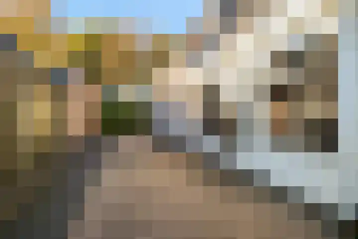Bernhardlaan 76 Buitenpost thumbnail 18