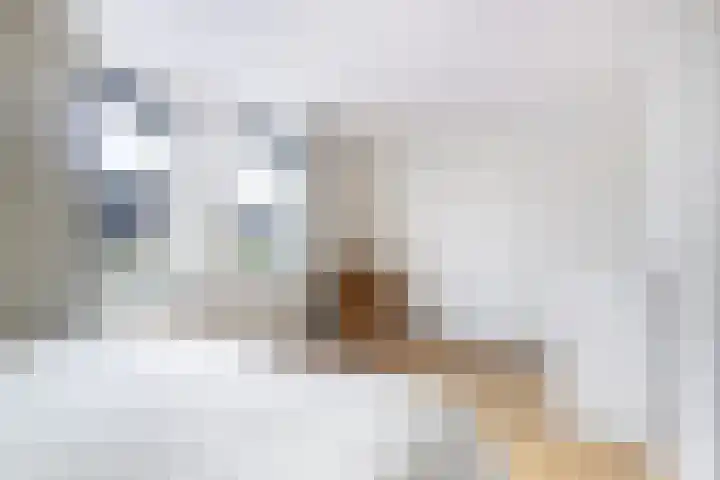 Bernhardlaan 76 Buitenpost thumbnail 30