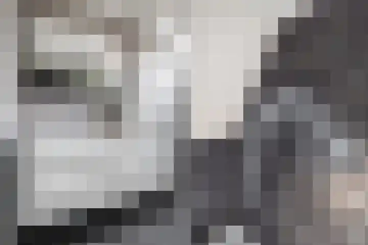 Bernhardlaan 76 Buitenpost thumbnail 33