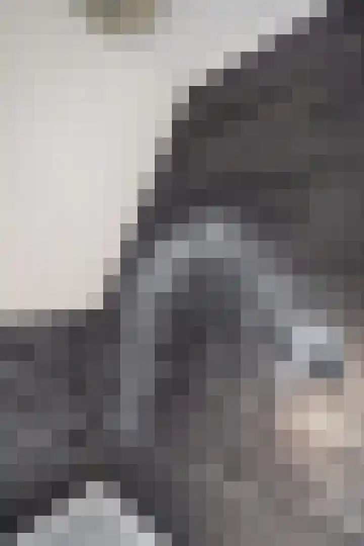 Bernhardlaan 76 Buitenpost thumbnail 34