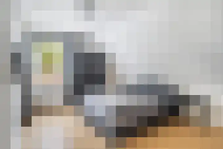 Bernhardlaan 76 Buitenpost thumbnail 35