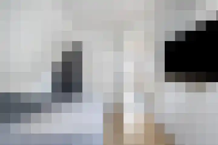 Bernhardlaan 76 Buitenpost thumbnail 36