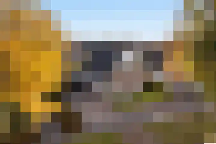 Bernhardlaan 76 Buitenpost thumbnail 44