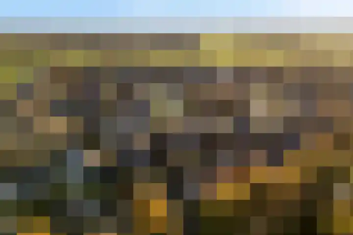 Bernhardlaan 76 Buitenpost thumbnail 46