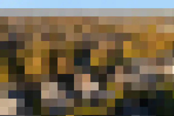 Bernhardlaan 76 Buitenpost thumbnail 47