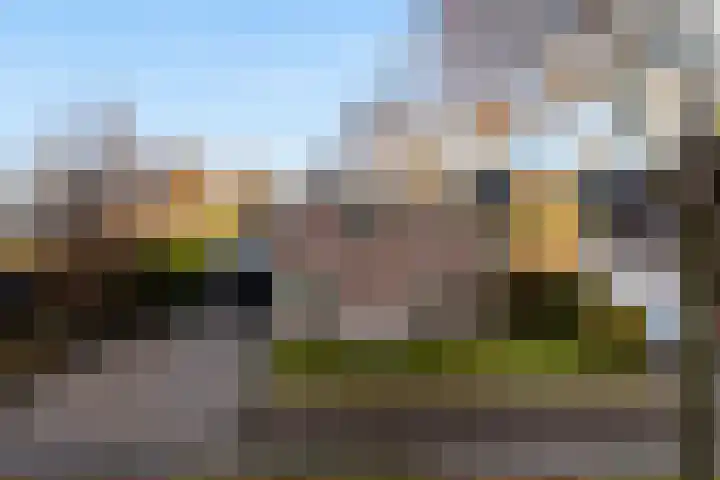 Bernhardlaan 76 Buitenpost thumbnail 5