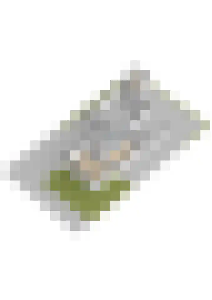 Bernhardlaan 76 Buitenpost thumbnail 57