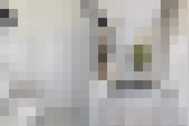 Bernhardlaan 76 Buitenpost thumbnail 8