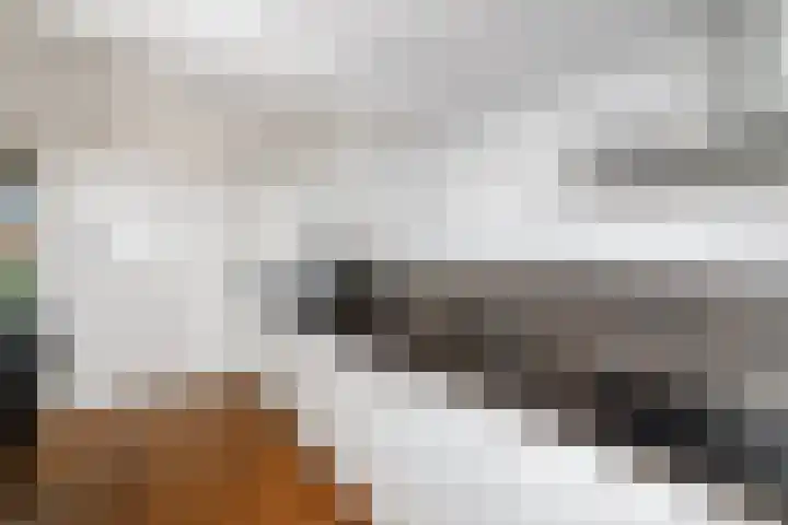 Bernhardlaan 79 Wolvega thumbnail 11