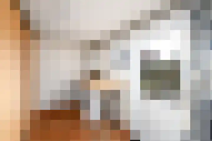 Bernhardlaan 79 Wolvega thumbnail 13