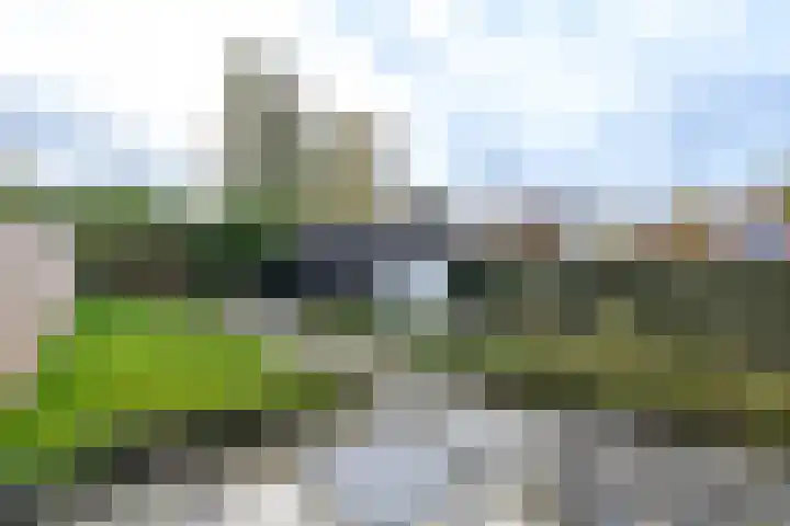 Bernhardlaan 79 Wolvega thumbnail 26