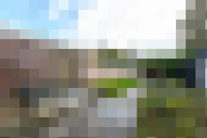 Bernhardlaan 79 Wolvega thumbnail 28