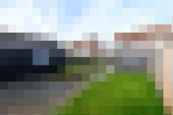 Bernhardlaan 79 Wolvega thumbnail 31