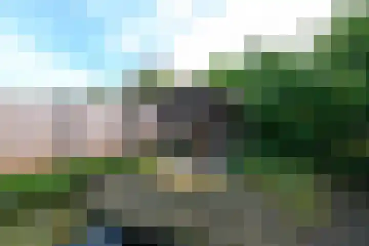Bernhardlaan 79 Wolvega thumbnail 32