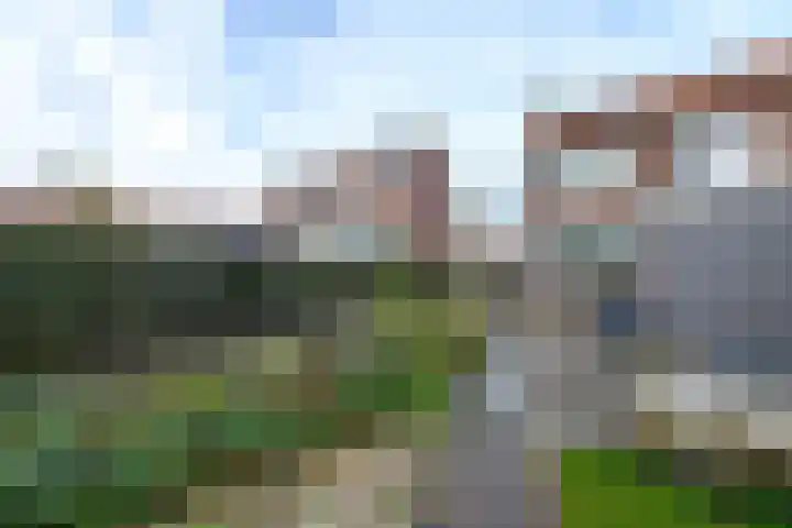 Bernhardlaan 79 Wolvega thumbnail 34