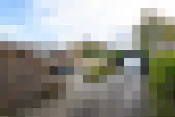 Bernhardlaan 79 Wolvega thumbnail 35