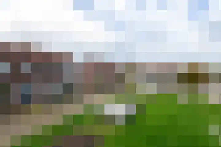 Bernhardlaan 79 Wolvega thumbnail 36
