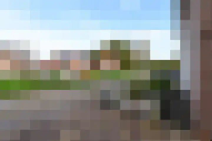 Bernhardlaan 79 Wolvega thumbnail 37
