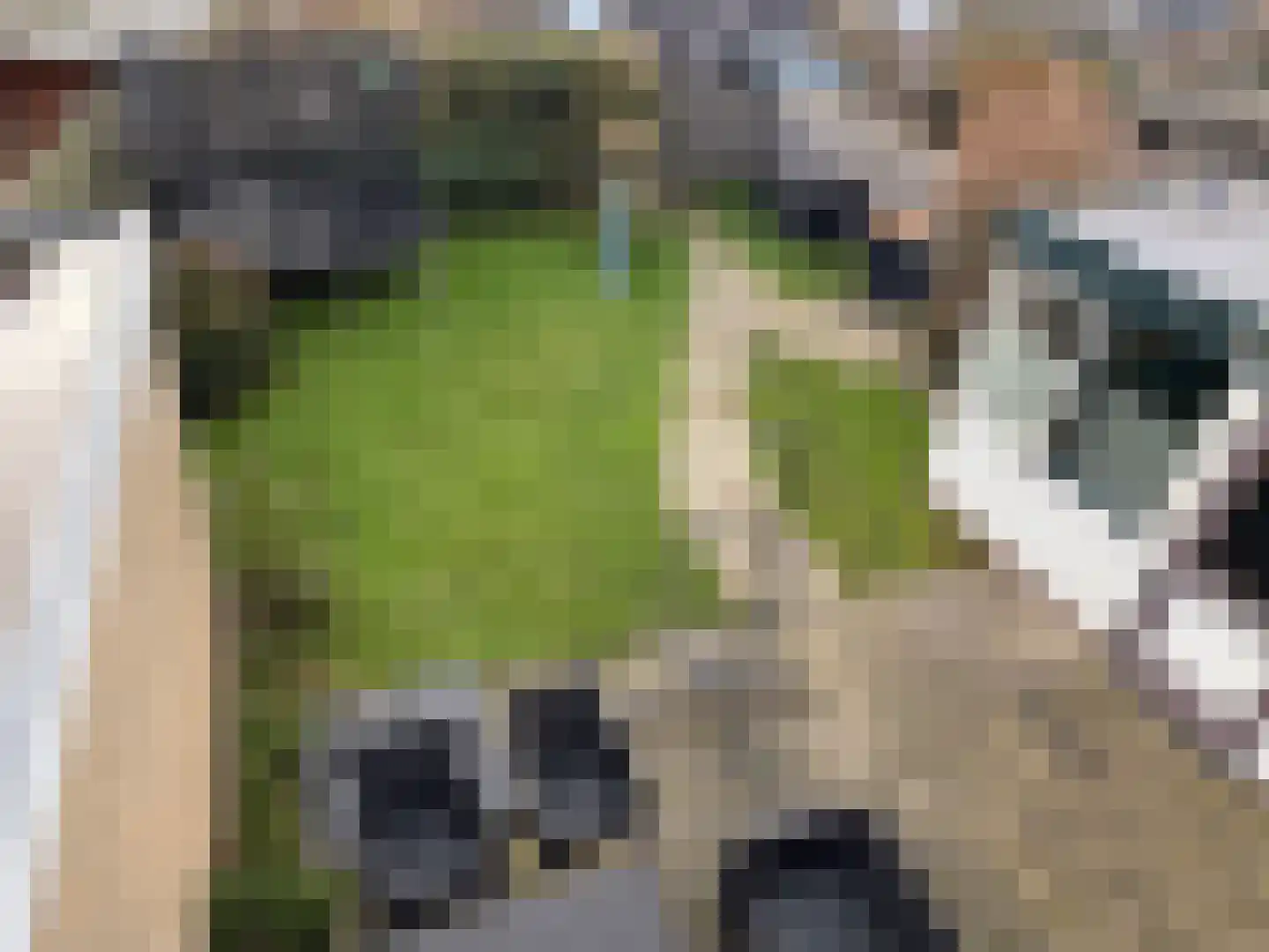Bernhardlaan 83 Den Burg thumbnail 26